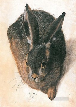 ウサギ バニー ウサギ Painting - ハレ・アルブレヒト・デューラー